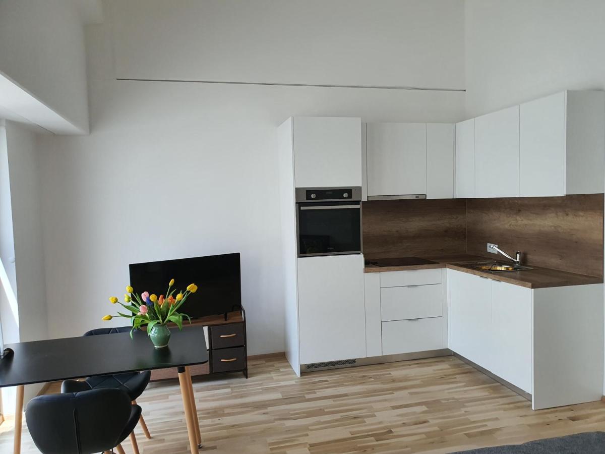 Greenpoint Apartment Wiener Neustadt Ngoại thất bức ảnh